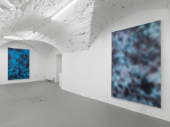 Installation view, Jeff Elrod,&nbsp;Figment, Vito Schnabel Gallery, St. Moritz, 2016, &copy; Jeff Elrod