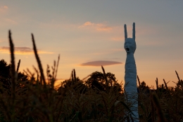 Installation view, Terence Koh,&nbsp;Children of the Corn, Long Island, 2010