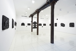 Installation view, Theo A. Rosenblum,&nbsp;Predator,&nbsp;Vito Schnabel, New York, 2014