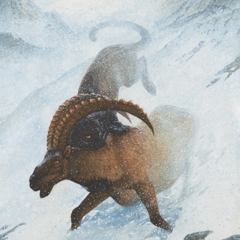Watercolor, gouache and ink on paper of a panther attacking a deer in the snowy Swiss Alps by Walton Ford